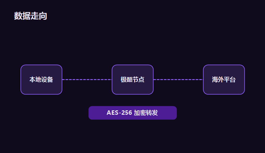极酷加速器数据走向示意，本地设备经节点加密转发到海外平台